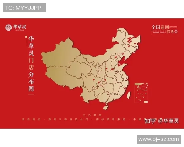 辅助位影响力显著上升数据网站最新分析揭示其在市场中的重要性